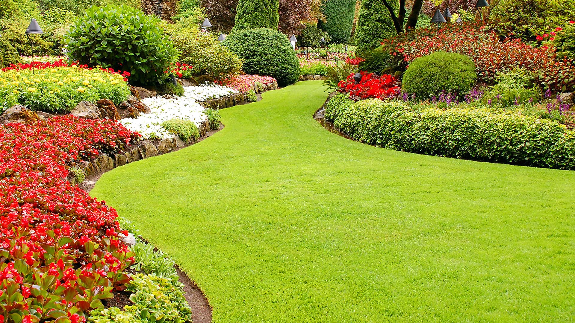 bg-services-lawn-care-cecil-county